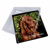 4x Irish Red Setter Dog 