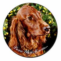 Irish Red Setter Dog 