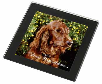 Irish Red Setter Dog 