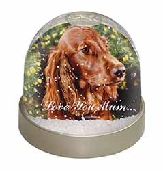 Irish Red Setter Dog 