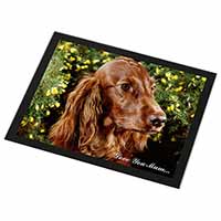 Irish Red Setter Dog 