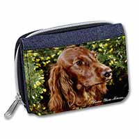 Irish Red Setter Dog 