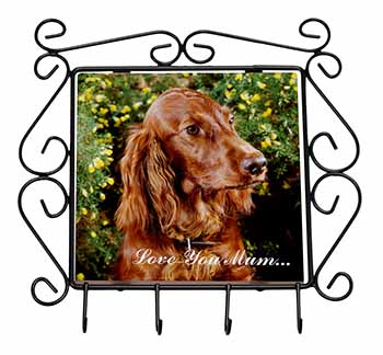 Irish Red Setter Dog 