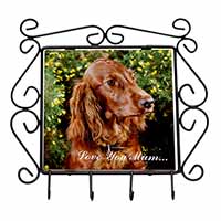 Irish Red Setter Dog 