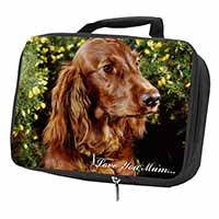 Irish Red Setter Dog 