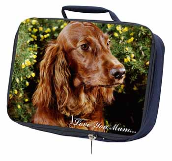 Irish Red Setter Dog 