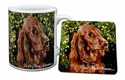 Irish Red Setter Dog 