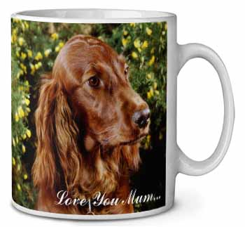 Irish Red Setter Dog 