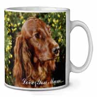 Irish Red Setter Dog 