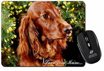 Irish Red Setter Dog 