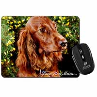 Irish Red Setter Dog 