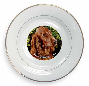 Irish Red Setter Dog 