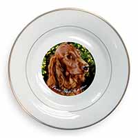 Irish Red Setter Dog 