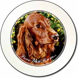 Irish Red Setter Dog 