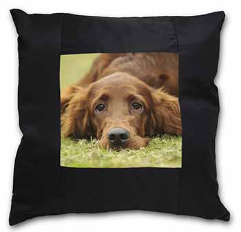 Irish Red Setter Puppy Dog Black Satin Feel Scatter Cushion