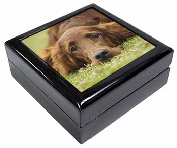 Irish Red Setter Puppy Dog Keepsake/Jewellery Box