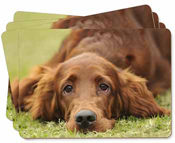 Irish Red Setter Puppy Dog Picture Placemats in Gift Box