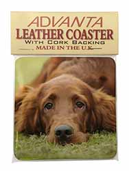 Irish Red Setter Puppy Dog Single Leather Photo Coaster