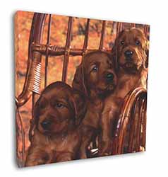 Irish Red Setter Puppy Dogs Square Canvas 12"x12" Wall Art Picture Print