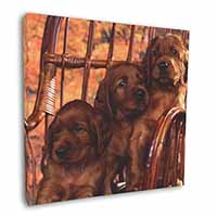 Irish Red Setter Puppy Dogs Square Canvas 12"x12" Wall Art Picture Print