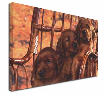Irish Red Setter Puppy Dogs Canvas X-Large 30"x20" Wall Art Print