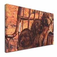 Irish Red Setter Puppy Dogs Canvas X-Large 30"x20" Wall Art Print