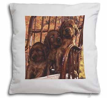 Irish Red Setter Puppy Dogs Soft White Velvet Feel Scatter Cushion