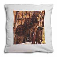 Irish Red Setter Puppy Dogs Soft White Velvet Feel Scatter Cushion