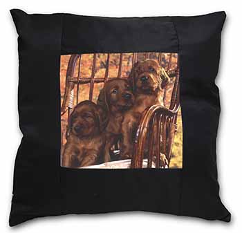 Irish Red Setter Puppy Dogs Black Satin Feel Scatter Cushion