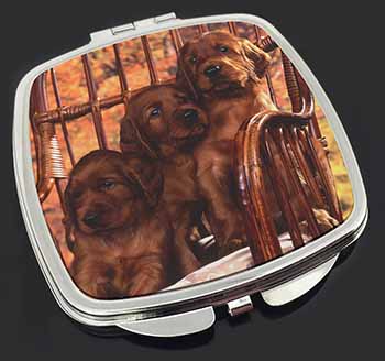 Irish Red Setter Puppy Dogs Make-Up Compact Mirror