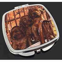 Irish Red Setter Puppy Dogs Make-Up Compact Mirror