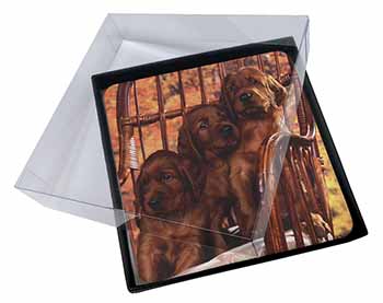 4x Irish Red Setter Puppy Dogs Picture Table Coasters Set in Gift Box