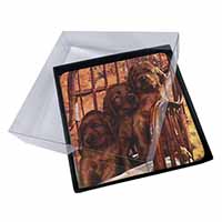 4x Irish Red Setter Puppy Dogs Picture Table Coasters Set in Gift Box