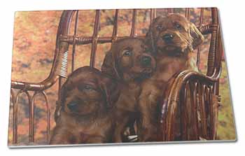 Large Glass Cutting Chopping Board Irish Red Setter Puppy Dogs