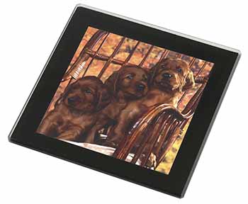 Irish Red Setter Puppy Dogs Black Rim High Quality Glass Coaster