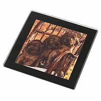 Irish Red Setter Puppy Dogs Black Rim High Quality Glass Coaster