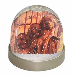 Irish Red Setter Puppy Dogs Snow Globe Photo Waterball