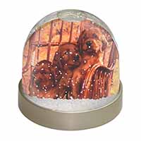 Irish Red Setter Puppy Dogs Snow Globe Photo Waterball