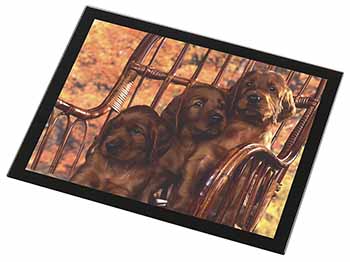 Irish Red Setter Puppy Dogs Black Rim High Quality Glass Placemat