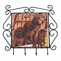 Irish Red Setter Puppy Dogs Wrought Iron Key Holder Hooks