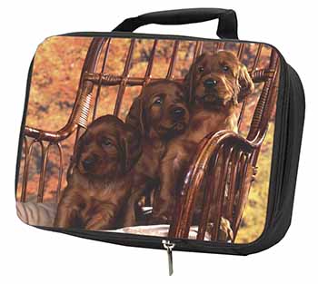 Irish Red Setter Puppy Dogs Black Insulated School Lunch Box/Picnic Bag