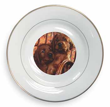 Irish Red Setter Puppy Dogs Gold Rim Plate Printed Full Colour in Gift Box