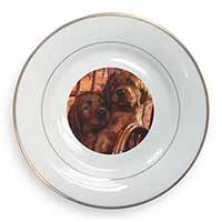 Irish Red Setter Puppy Dogs Gold Rim Plate Printed Full Colour in Gift Box