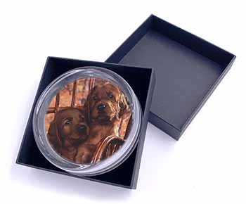 Irish Red Setter Puppy Dogs Glass Paperweight in Gift Box
