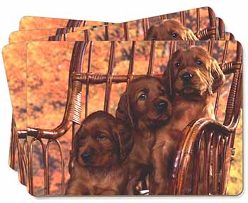 Irish Red Setter Puppy Dogs Picture Placemats in Gift Box