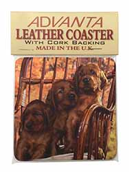 Irish Red Setter Puppy Dogs Single Leather Photo Coaster