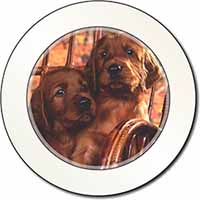 Irish Red Setter Puppy Dogs Car or Van Permit Holder/Tax Disc Holder