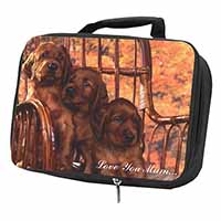 Irish Red Setter Puppies 