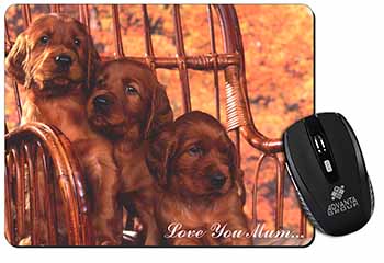 Irish Red Setter Puppies 