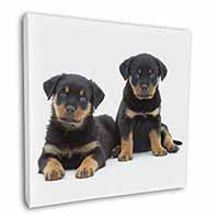 Rottweiler Puppies Square Canvas 12"x12" Wall Art Picture Print